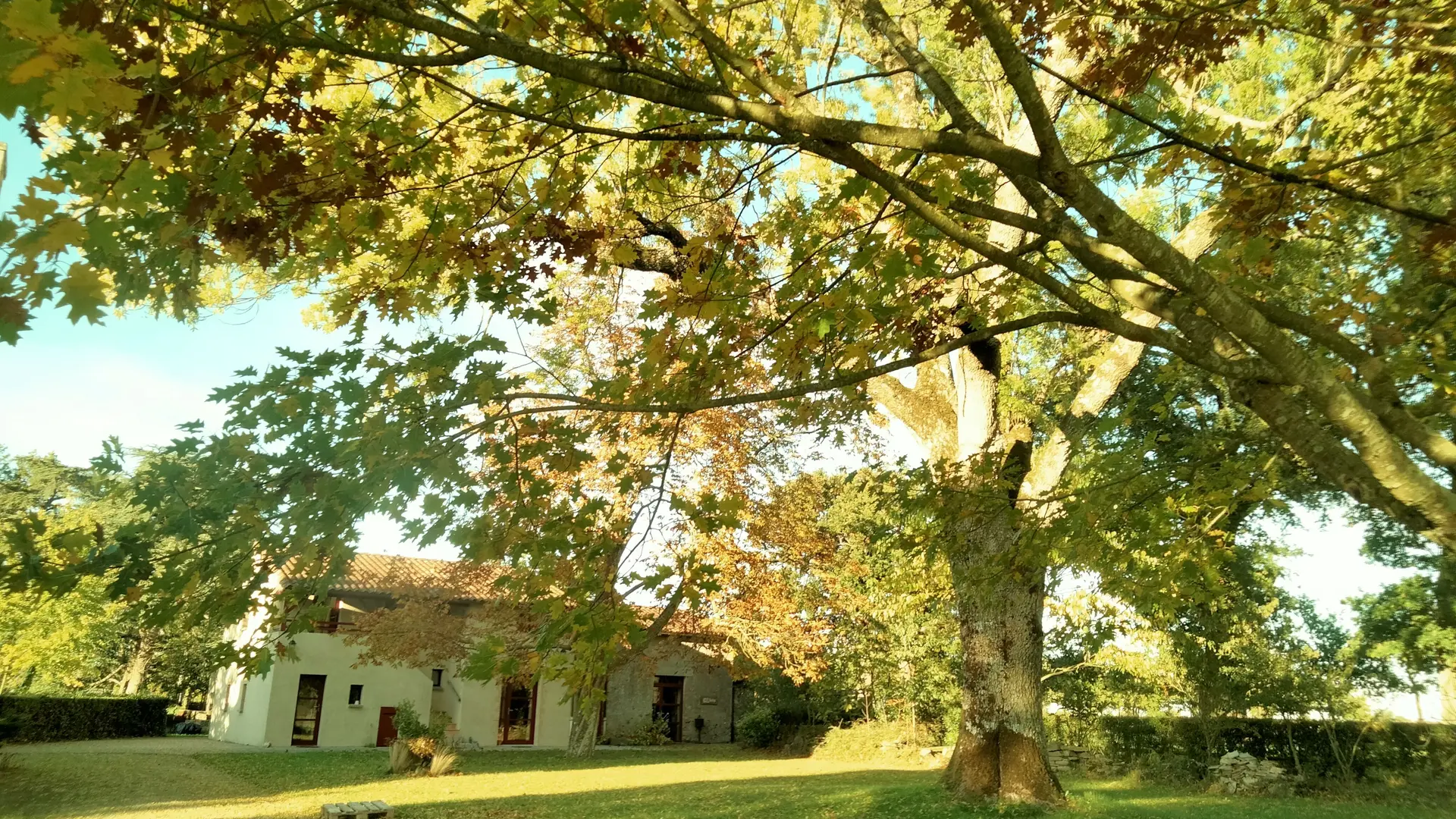 Gîte de la Bergerie
