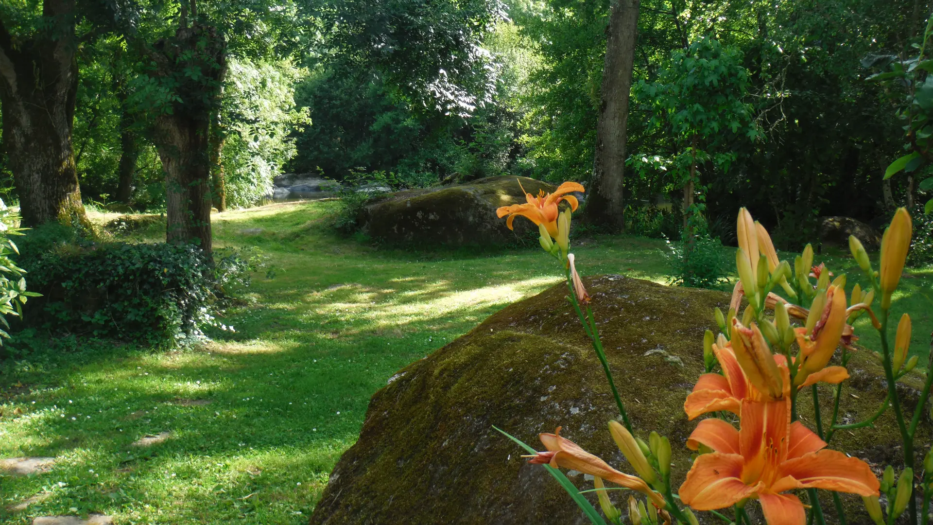 2020-Jardin-Gîtes Moulin Neuf-Gétigné-44-levignobledenantes