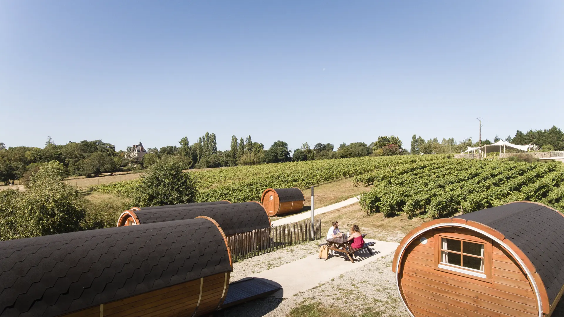 LAD2021-VignobleMarchaisHD©jeremyjehanin-63