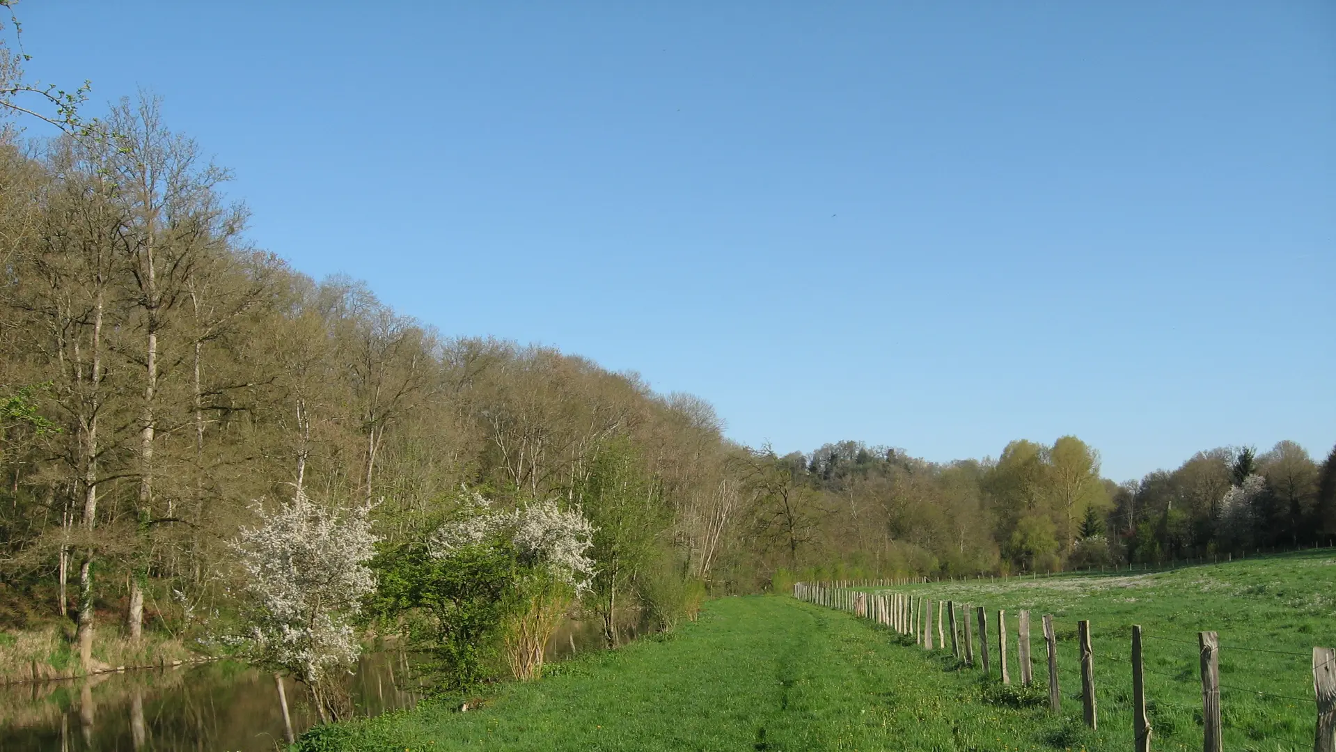 ITIPDL072V502F5X - LIBELLULE