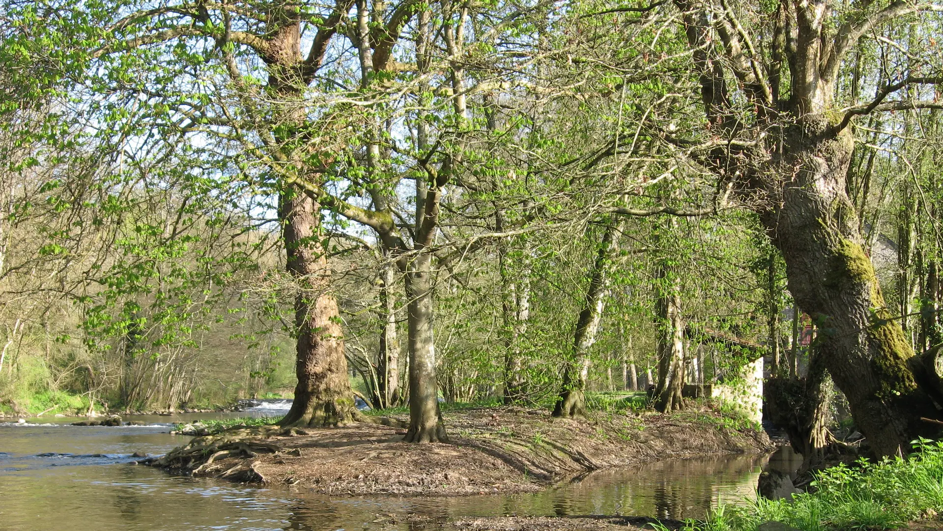 sentier-interpretation-libellule-saint-leonard-des-bois-72-iti-1