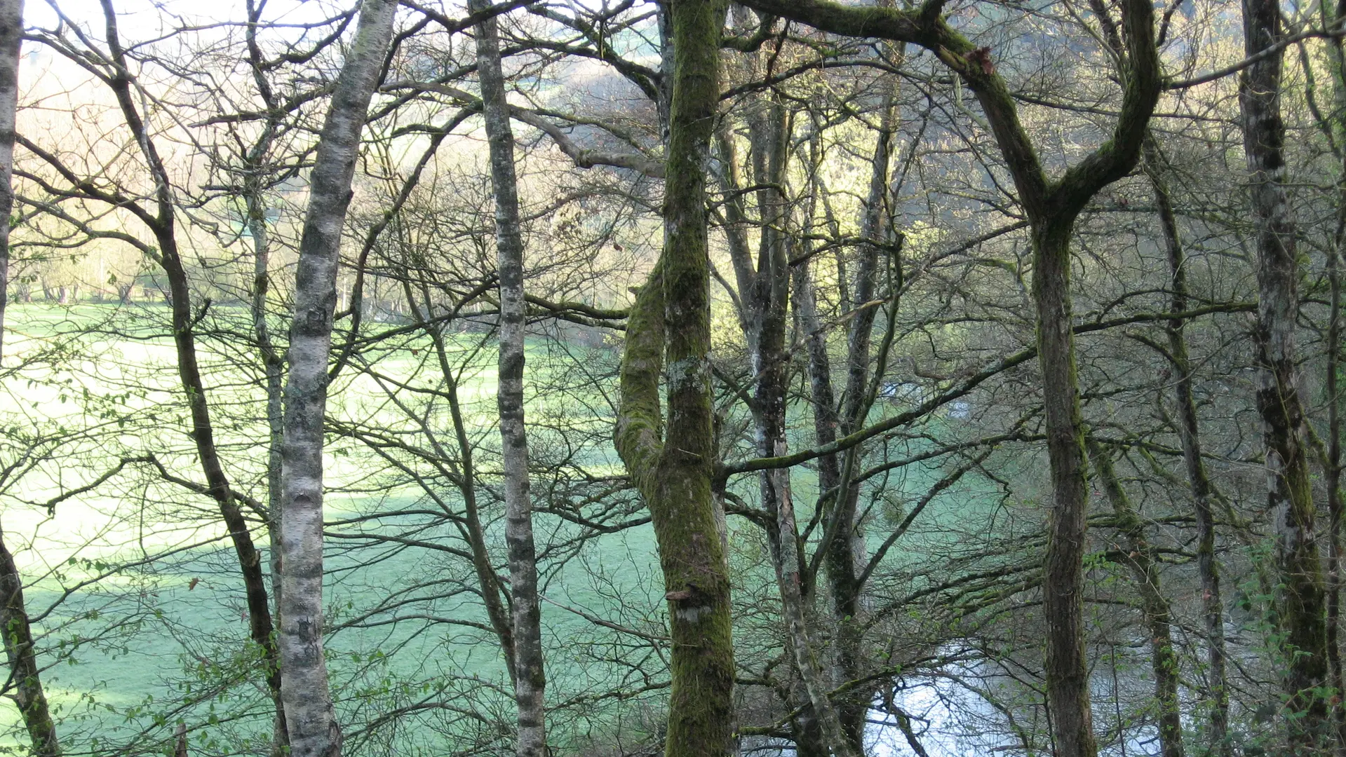 ITIPDL072V502F5X - LIBELLULE3