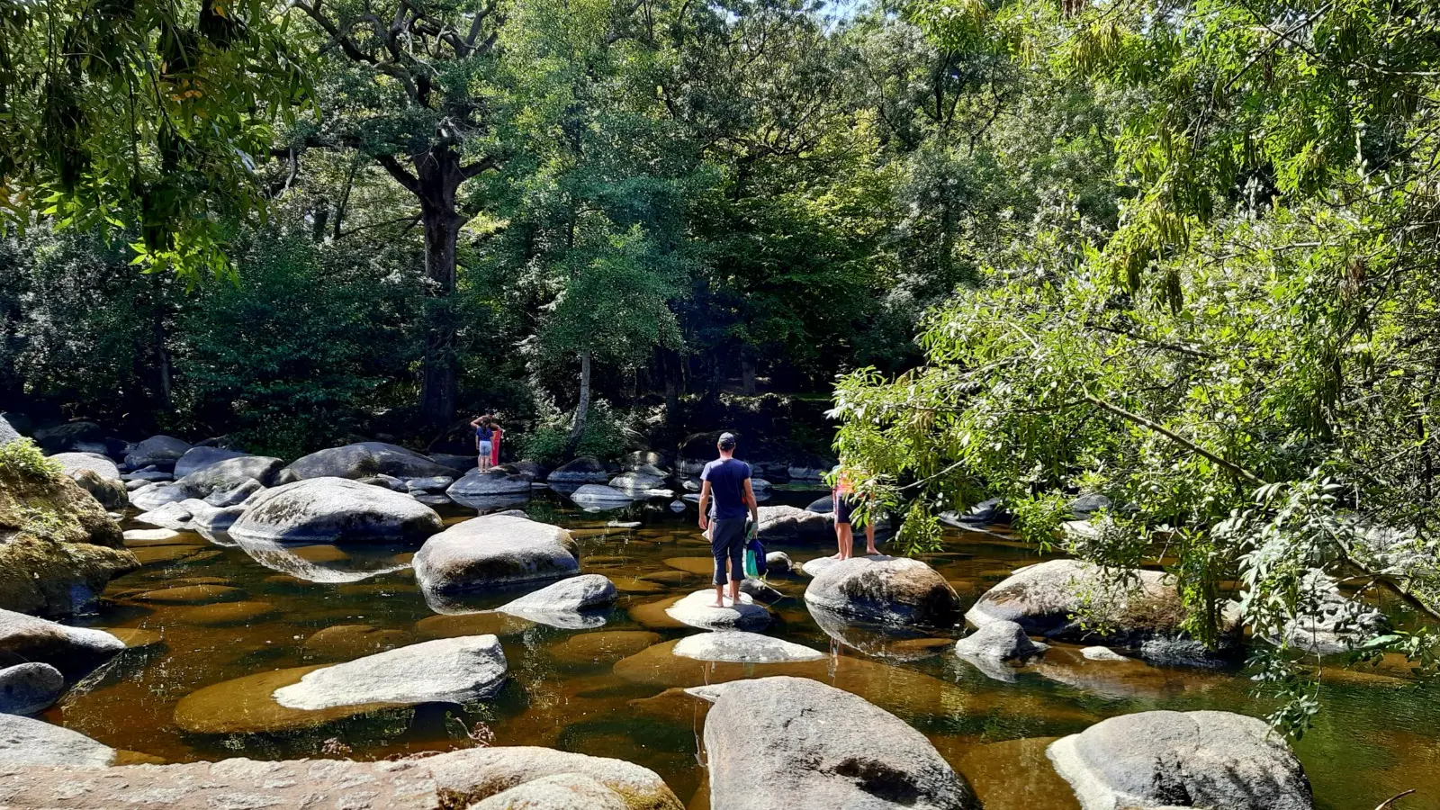 Grp de sevre et maine boucle du vignoble