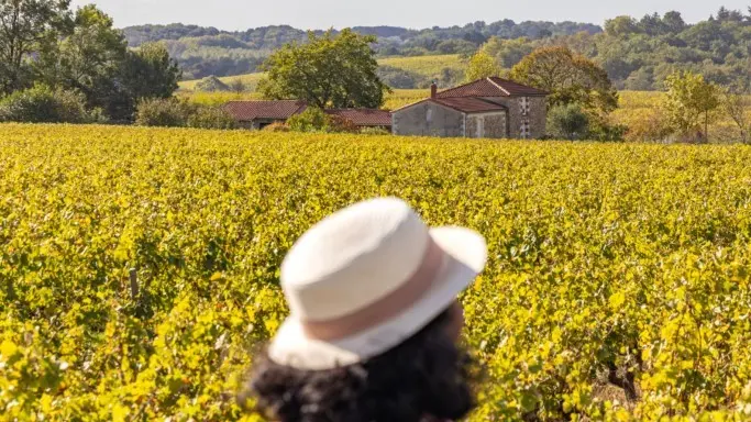 circuit boucle sevre et coteaux