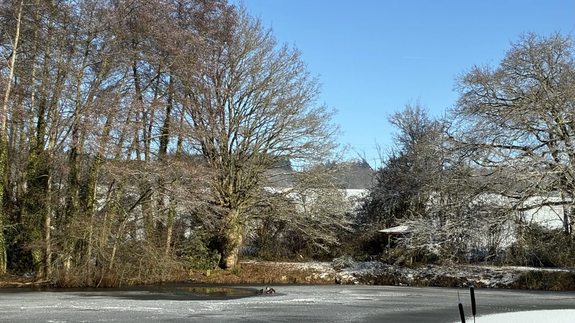 Chambres d'hôtes La Basse Cour - Ancinnes - lac gelé