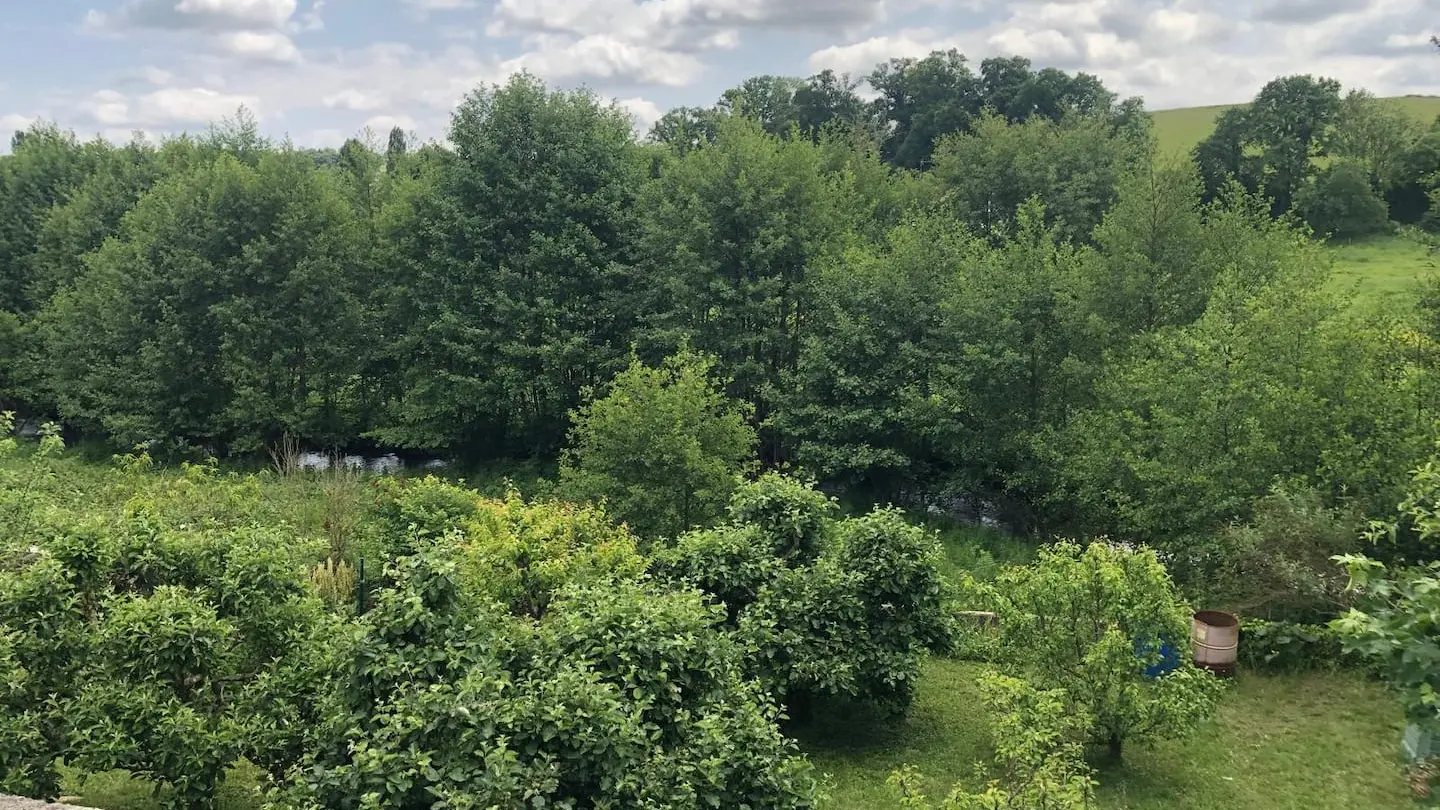 Meublé Le Nid Douillet - Douillet-le-Joly - vue sur la campagne