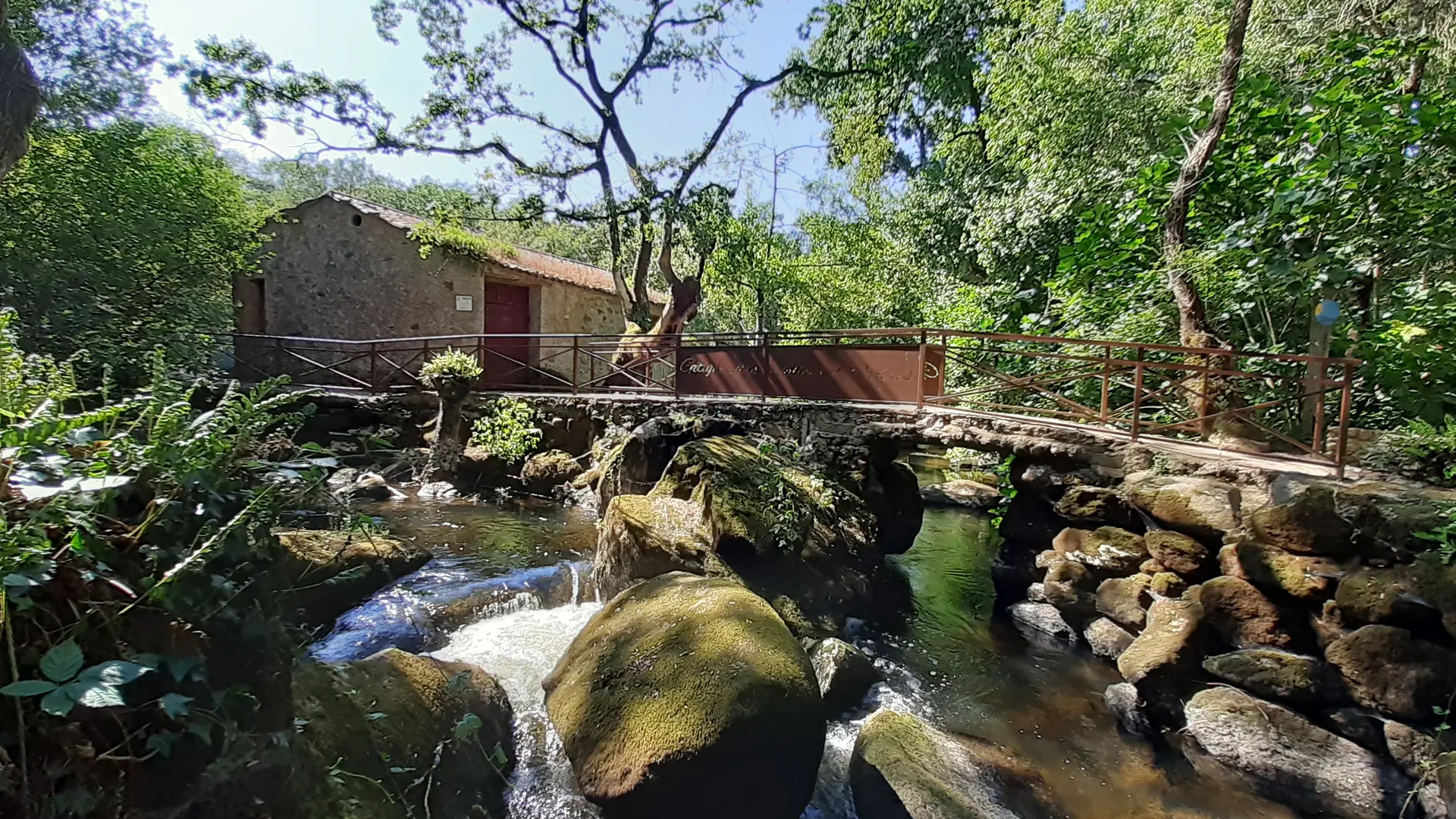 Moulin-à-foulon-Gîtes Moulin Neuf-Gétigné-44-levignobledenante