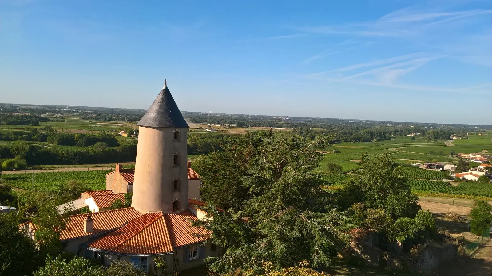 Moulin-du-Pe--vue--circuitdeshorizons-lelorouxbottereau-44-levignobledenantes-2