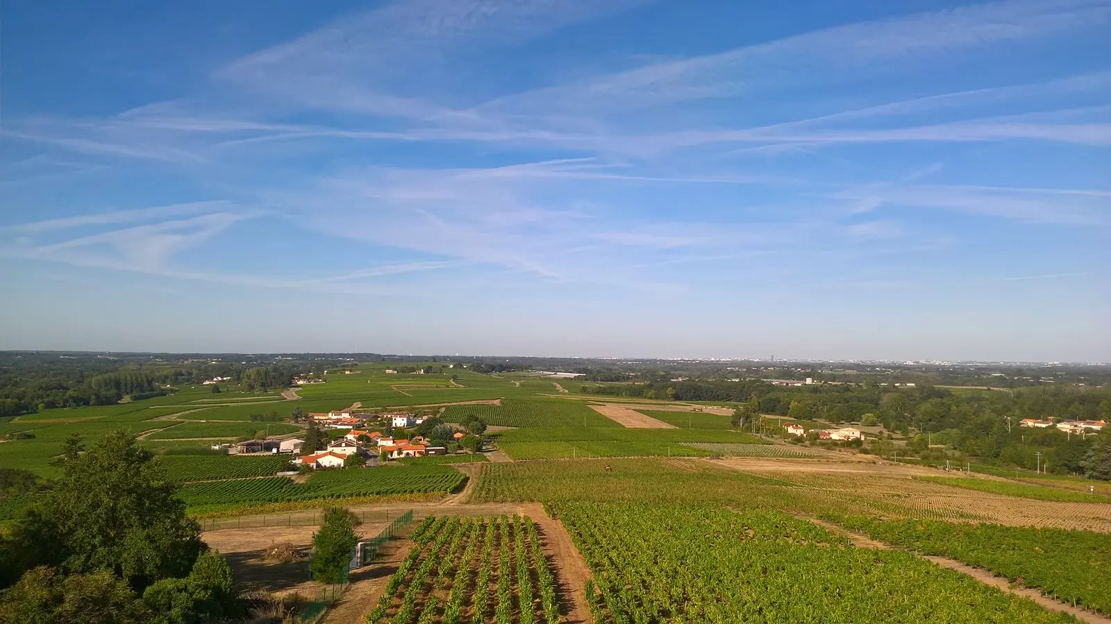 Moulin-du-Pe-vue---circuitdeshorizons-lelorouxbottereau-44-levignobledenantes-2