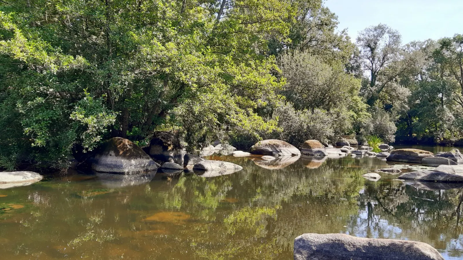 Grp de sevre et maine boucle du vignoble