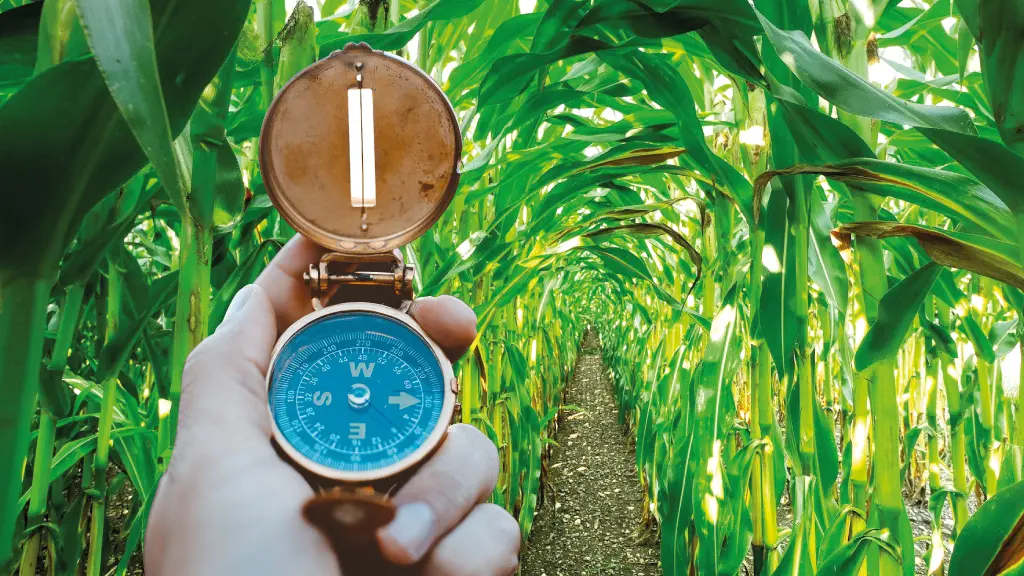 Enigmes_Labyrinthe végétal