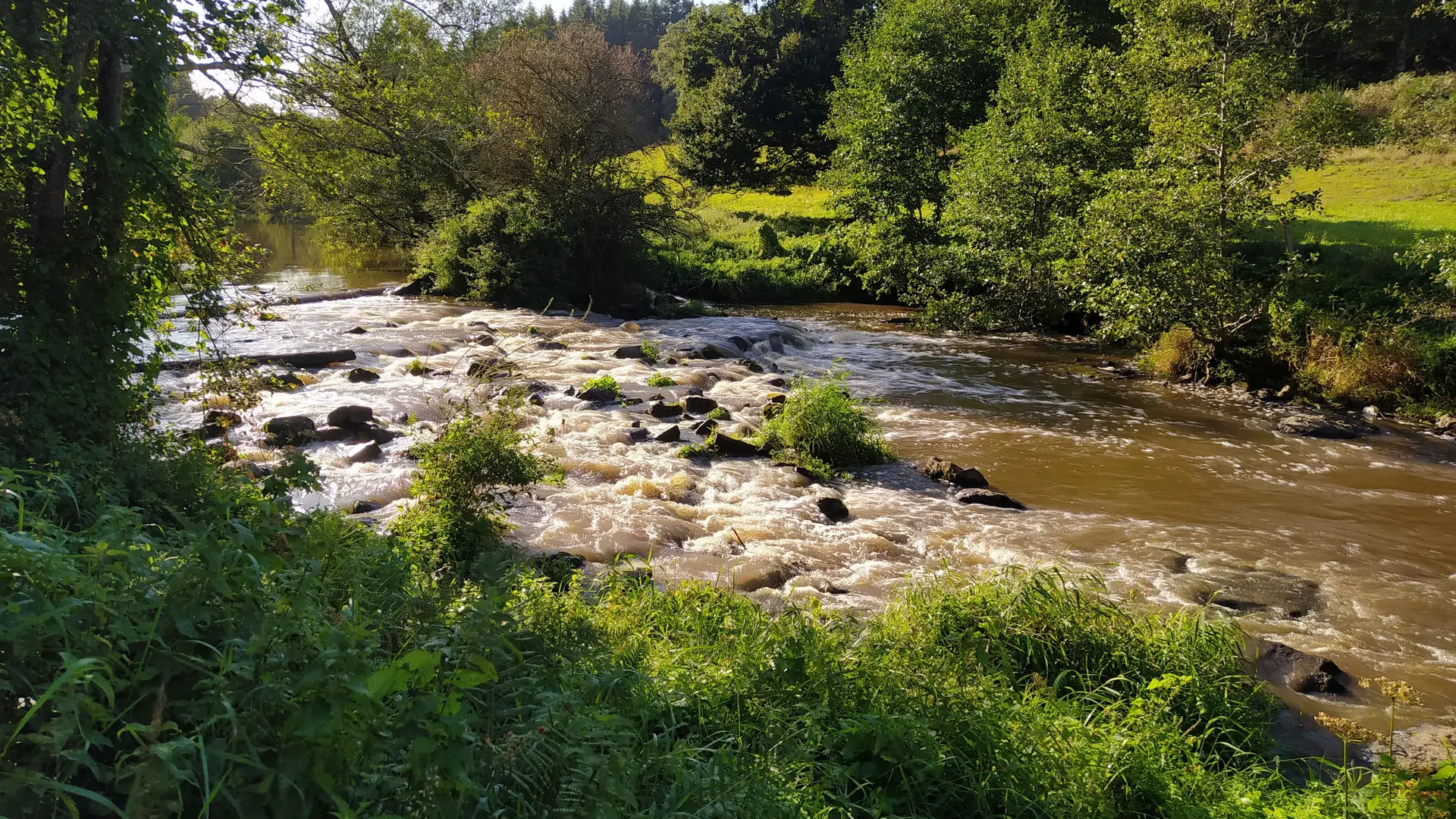 Oisseau Quincampoix 53 © bocage mayennais tourisme - 52