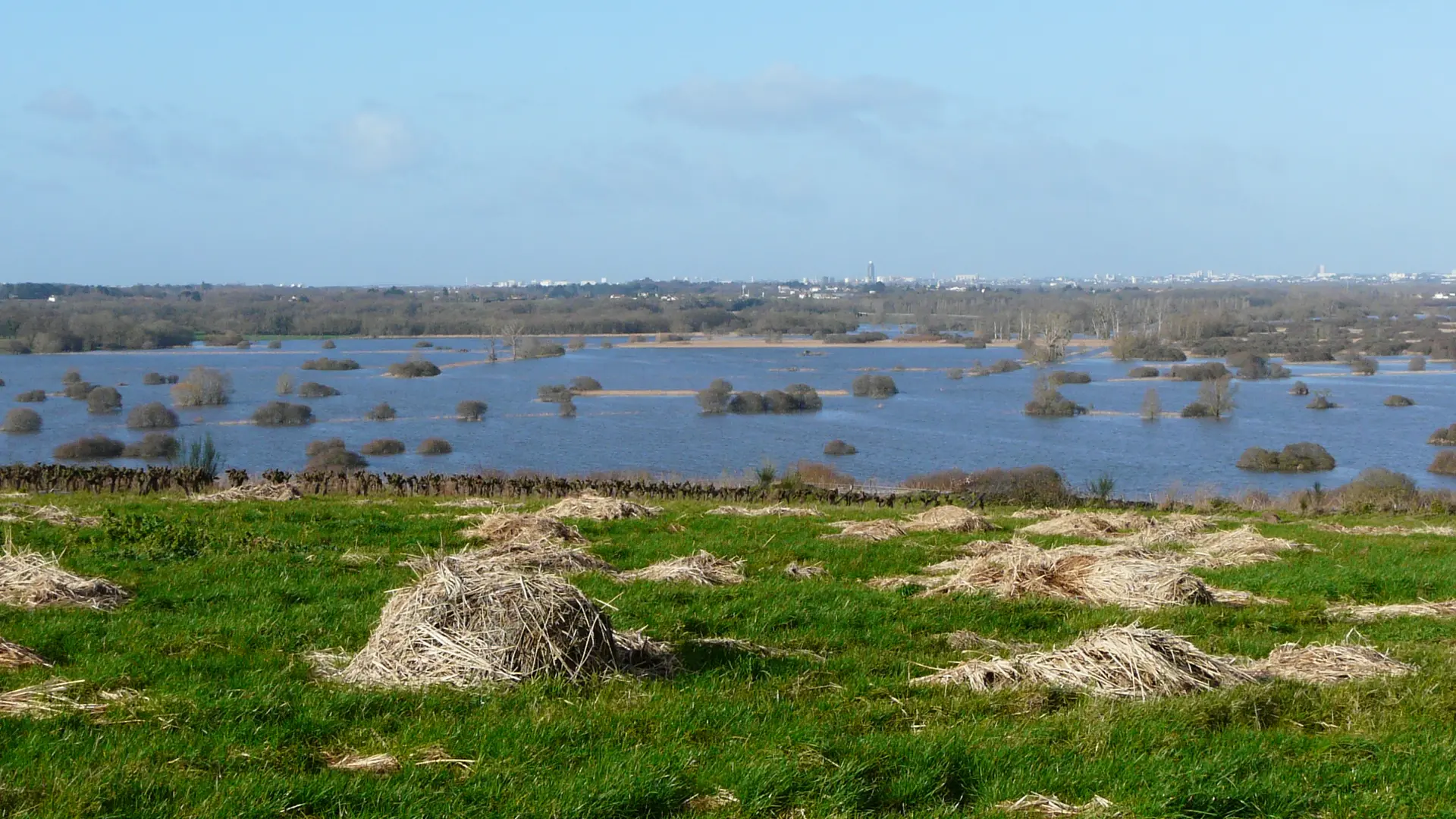 Butte de la Roche, panorama sur le marais.