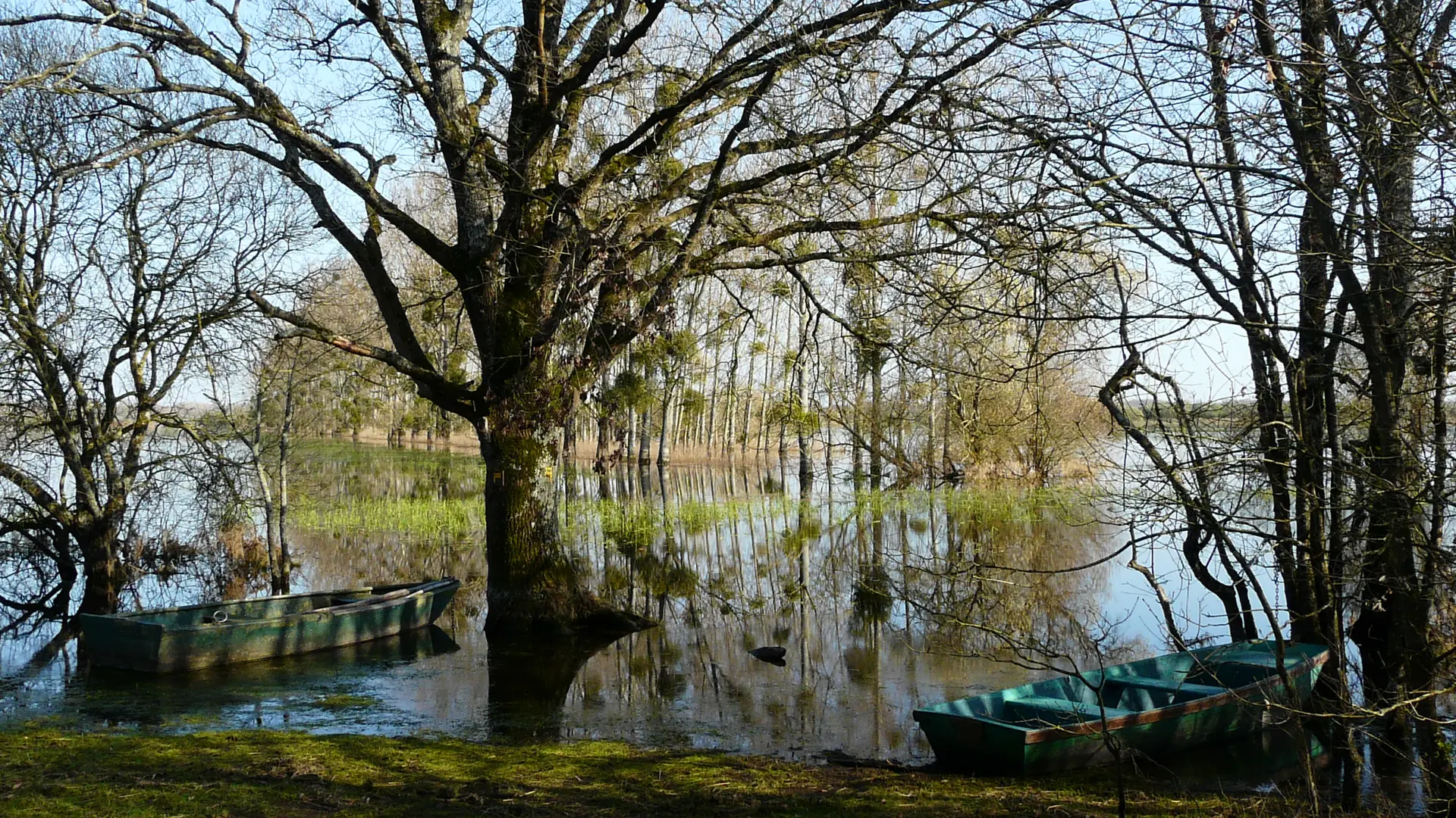 Barques sur le marais
