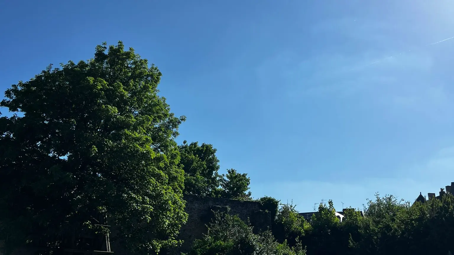 PHOTO-2025-05-17-17-36-44