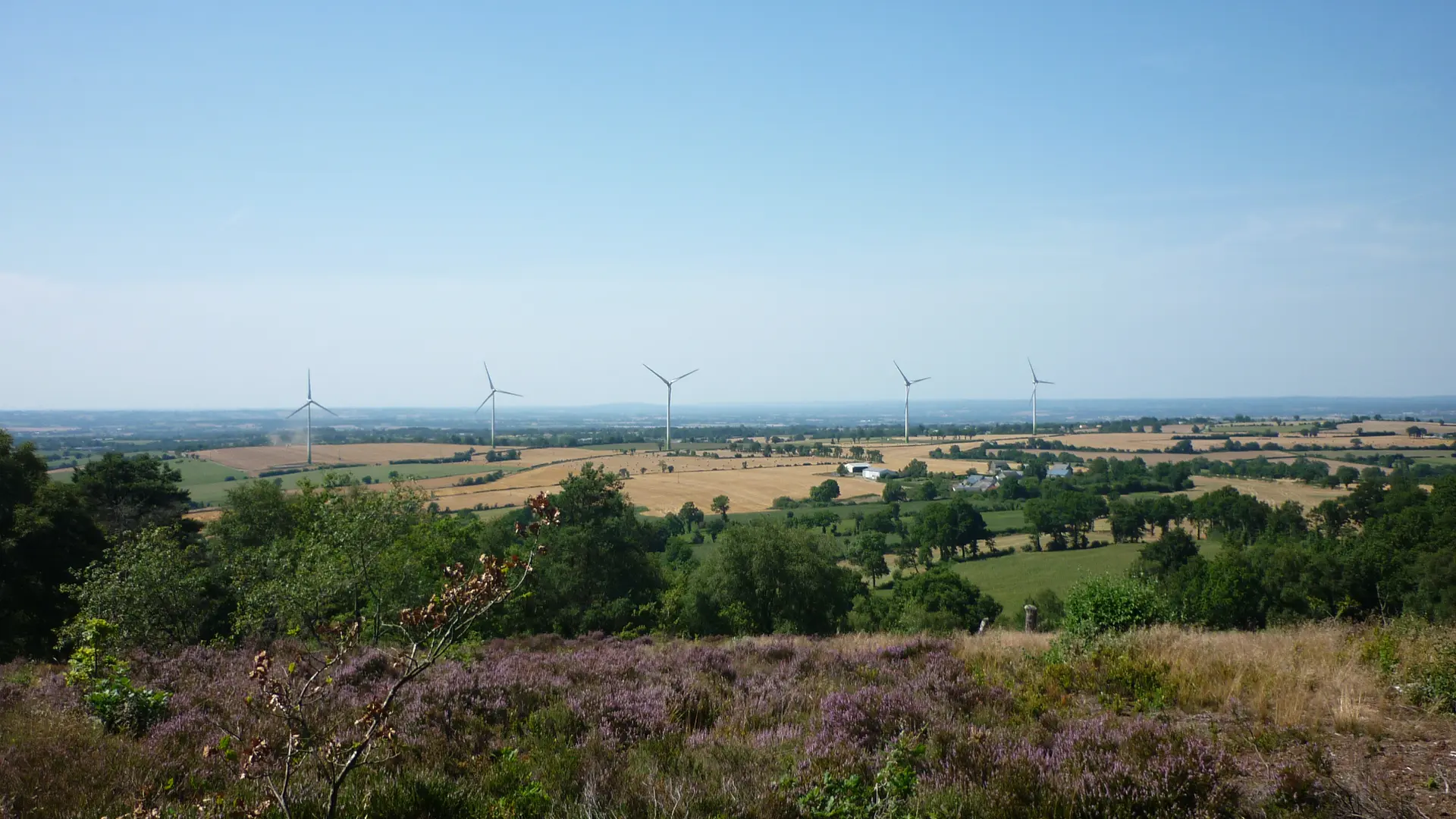 Paysage du Pays de Pail (4)