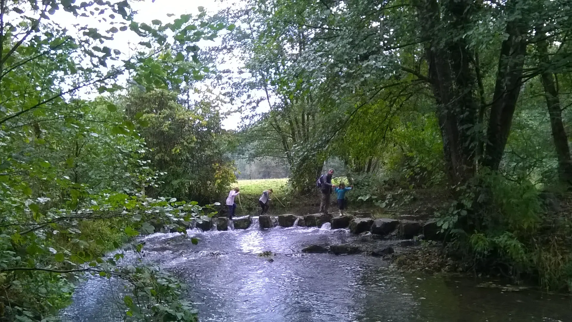 ITI53 - Saulges - Pas japonais