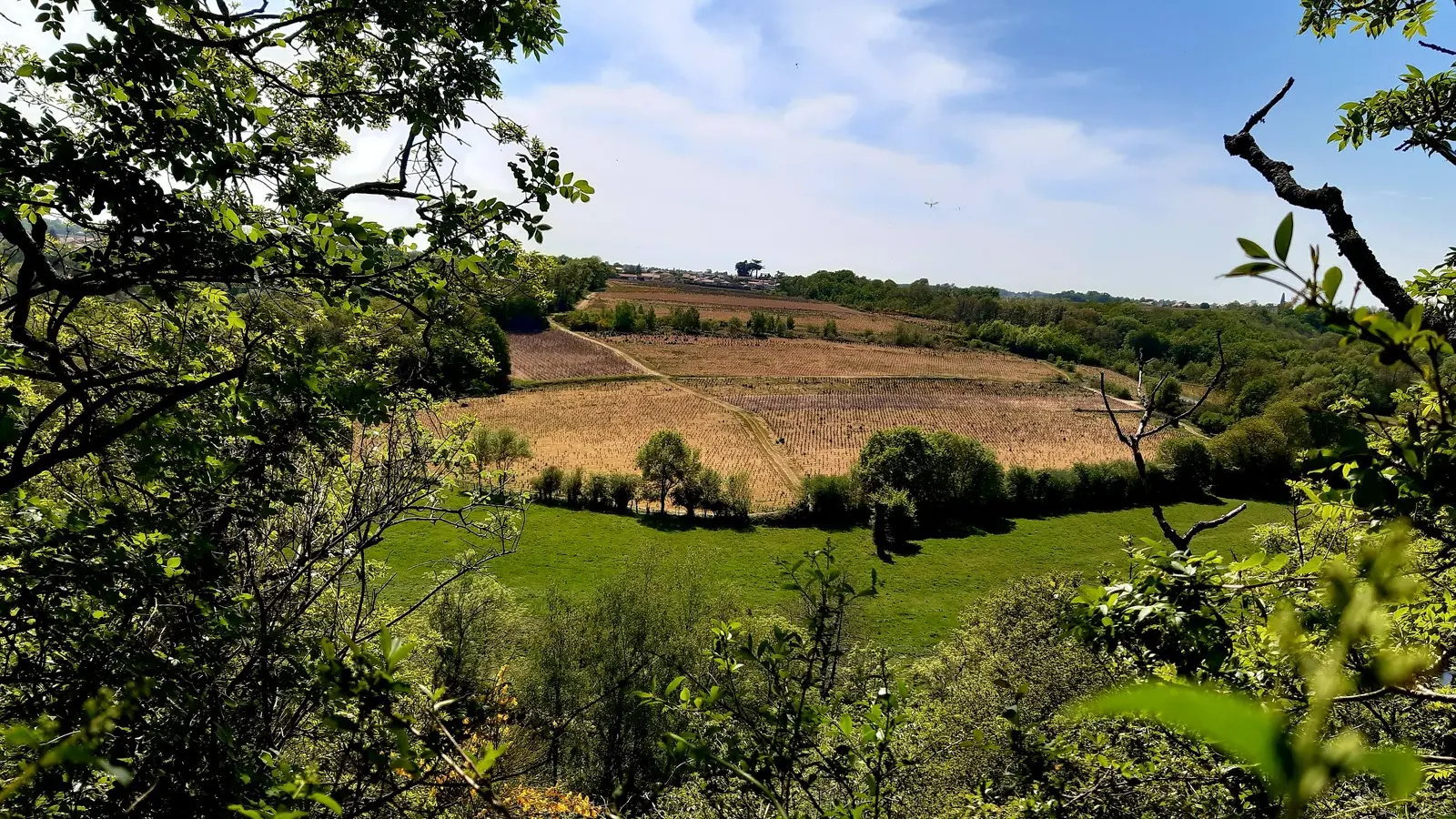 circuit entre moulins et chateaux la haye fouassiere