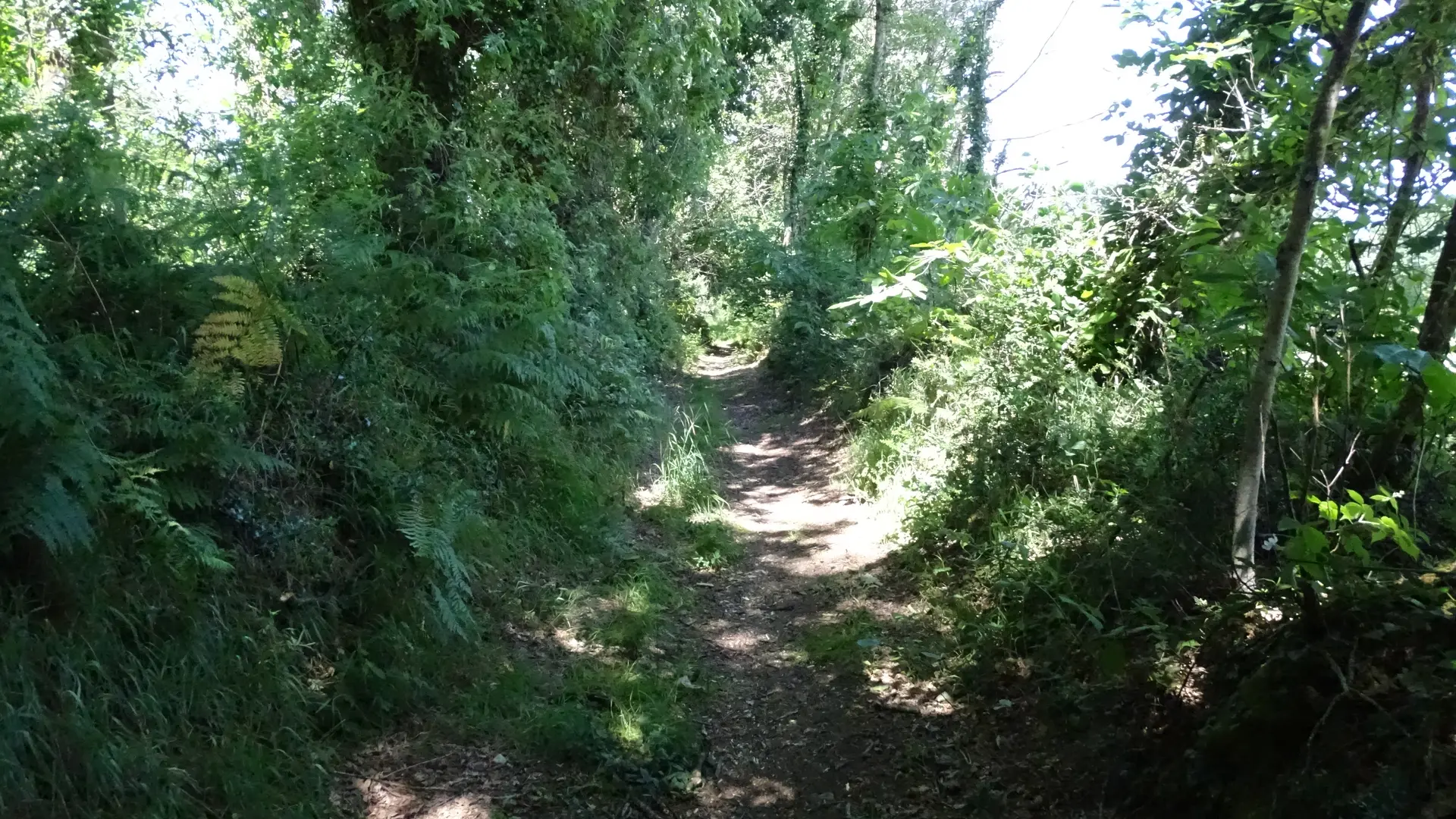 Randonnée pédestre.La Flèche