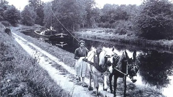 Le voyage de Gabin-mayenne-2