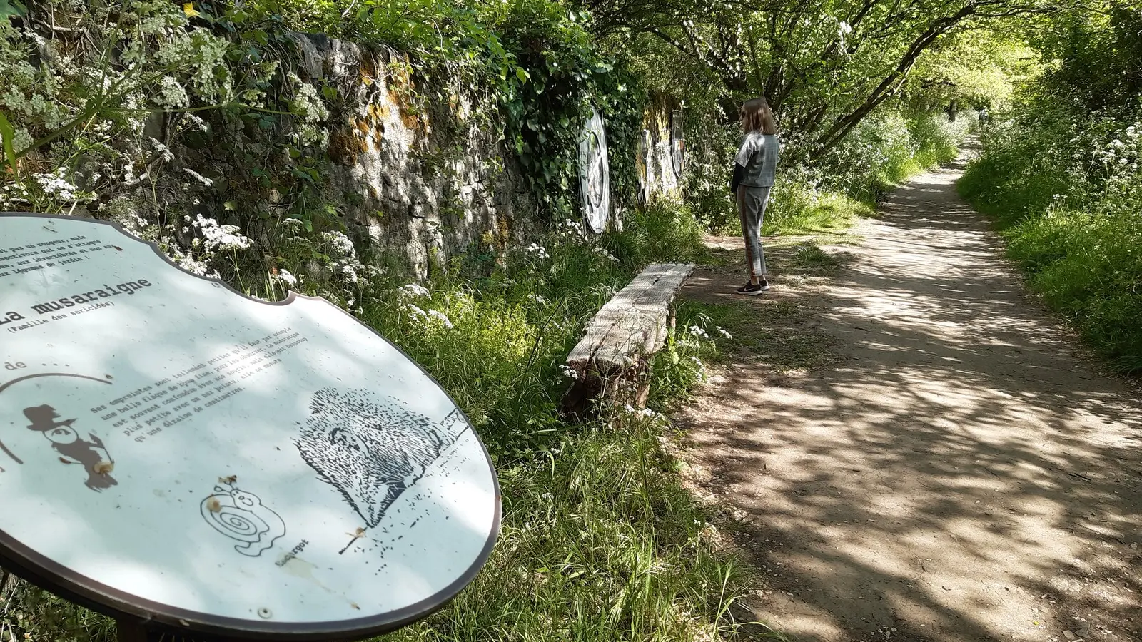 Piste aux empreintes (1)