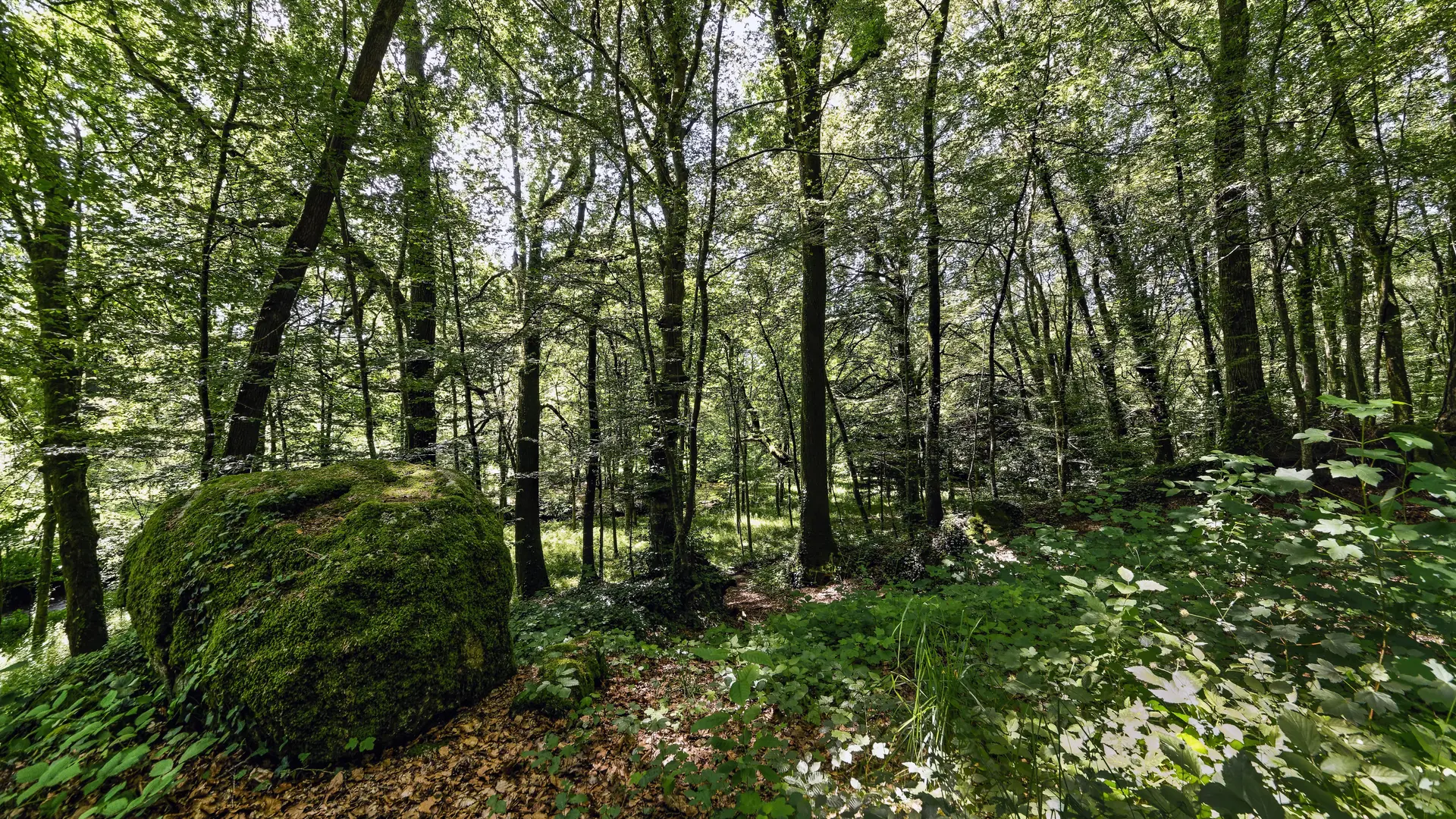 Pontmain © JY Guyard (16)