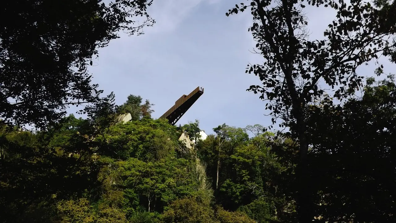 Porte vue pont caffino octobre 2020 le vignoble de nantes tourisme (23)