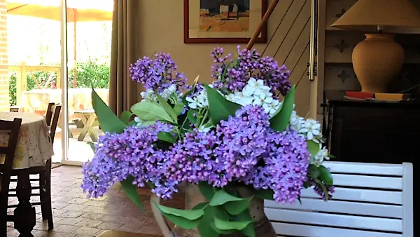 2020-gite-oubliere4-getigne-44-levignobledenantes-tourisme