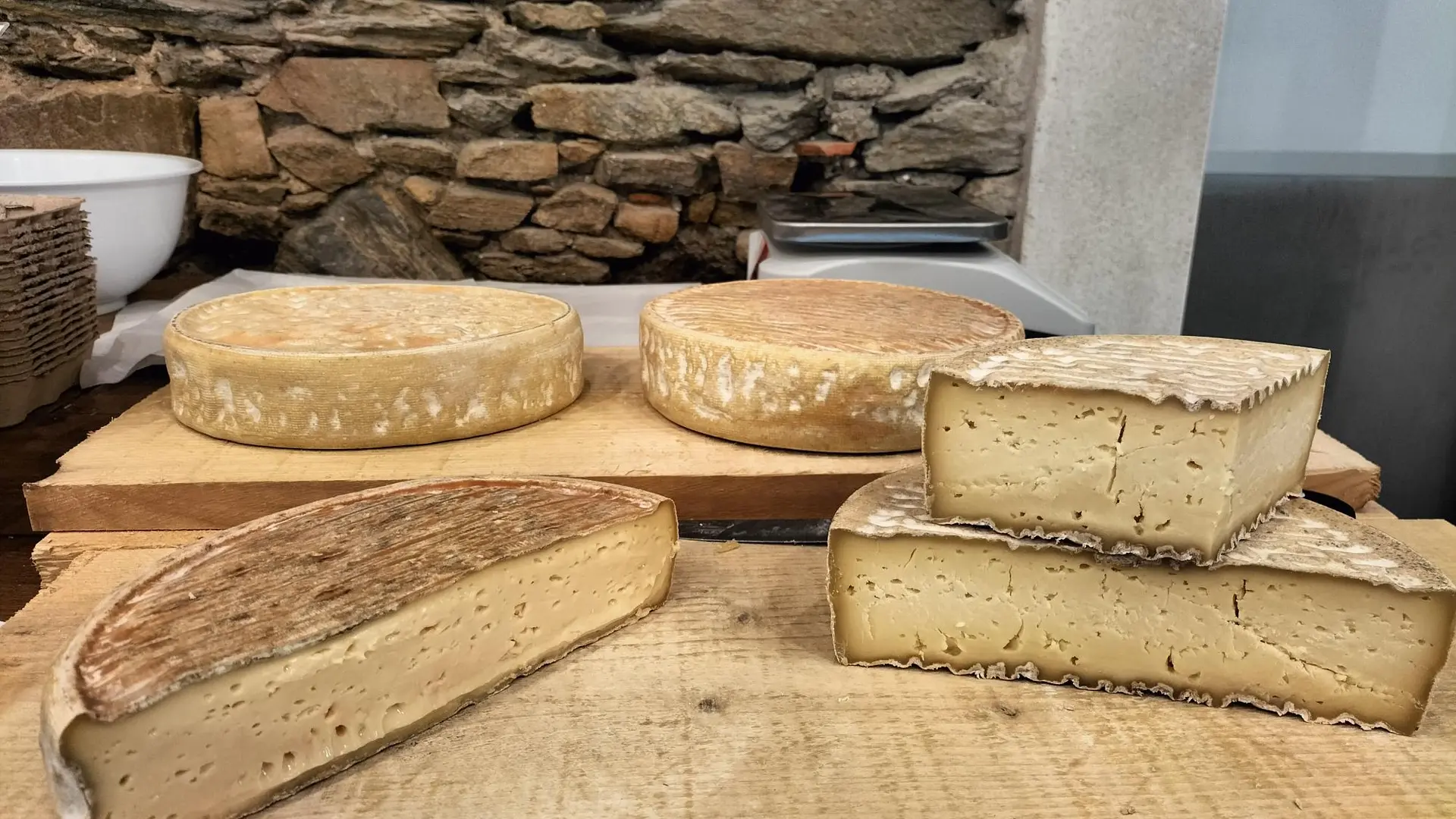 TOMME SAINTE CATHERINE