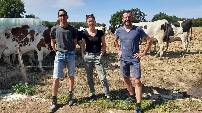 Tommes et Compagnie 3