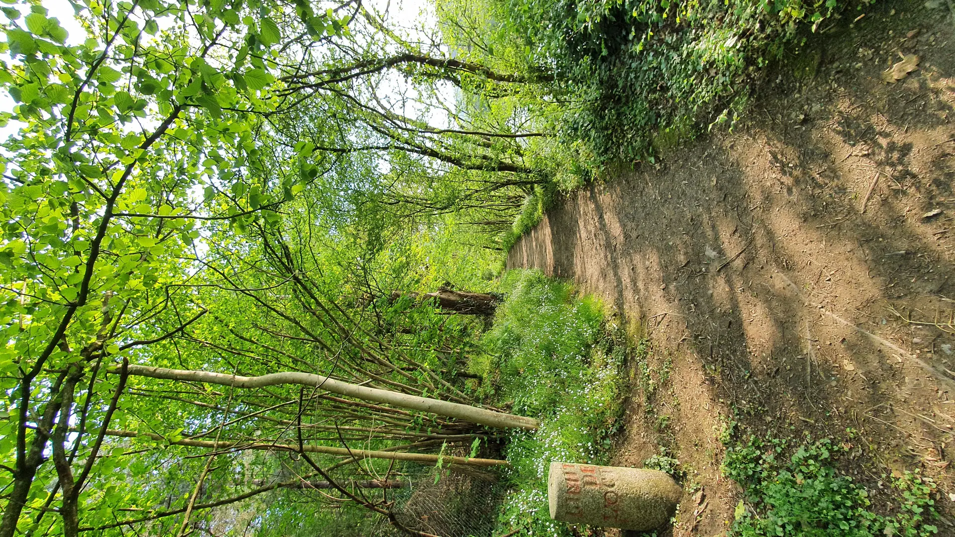 Le Plein d'Aventure !