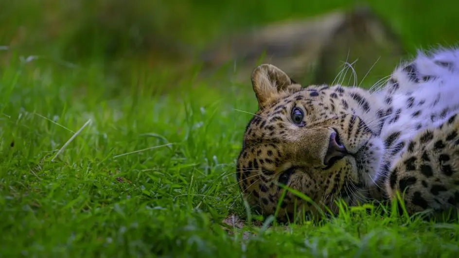 VISUEL 2024 PAYSAGE ©Michel Lhuillier 1024