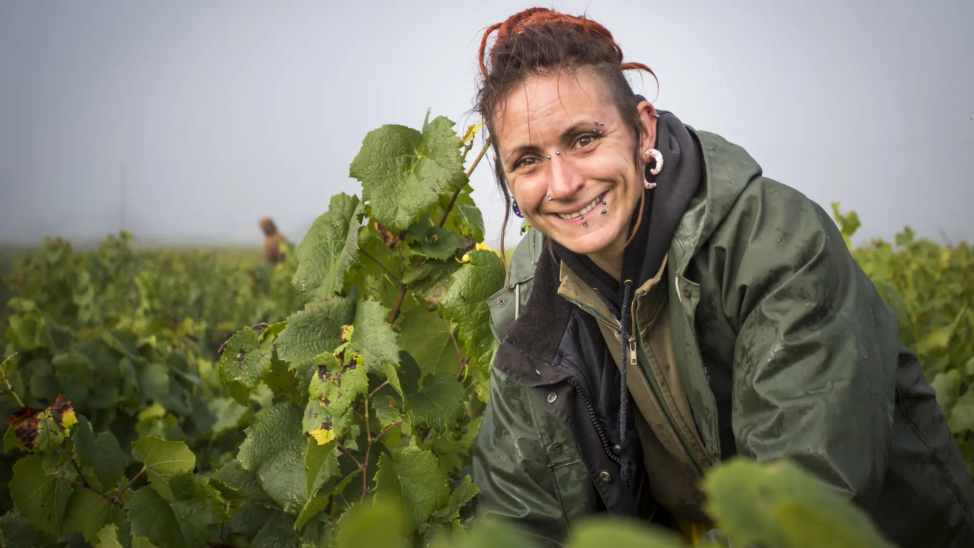 domaine-bregeon-3-gorges-44