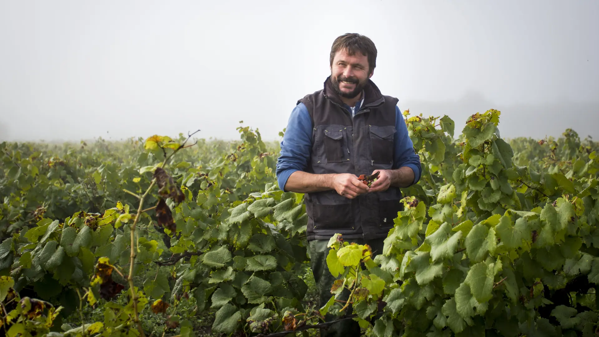 domaine-bregeon-5-gorges-44