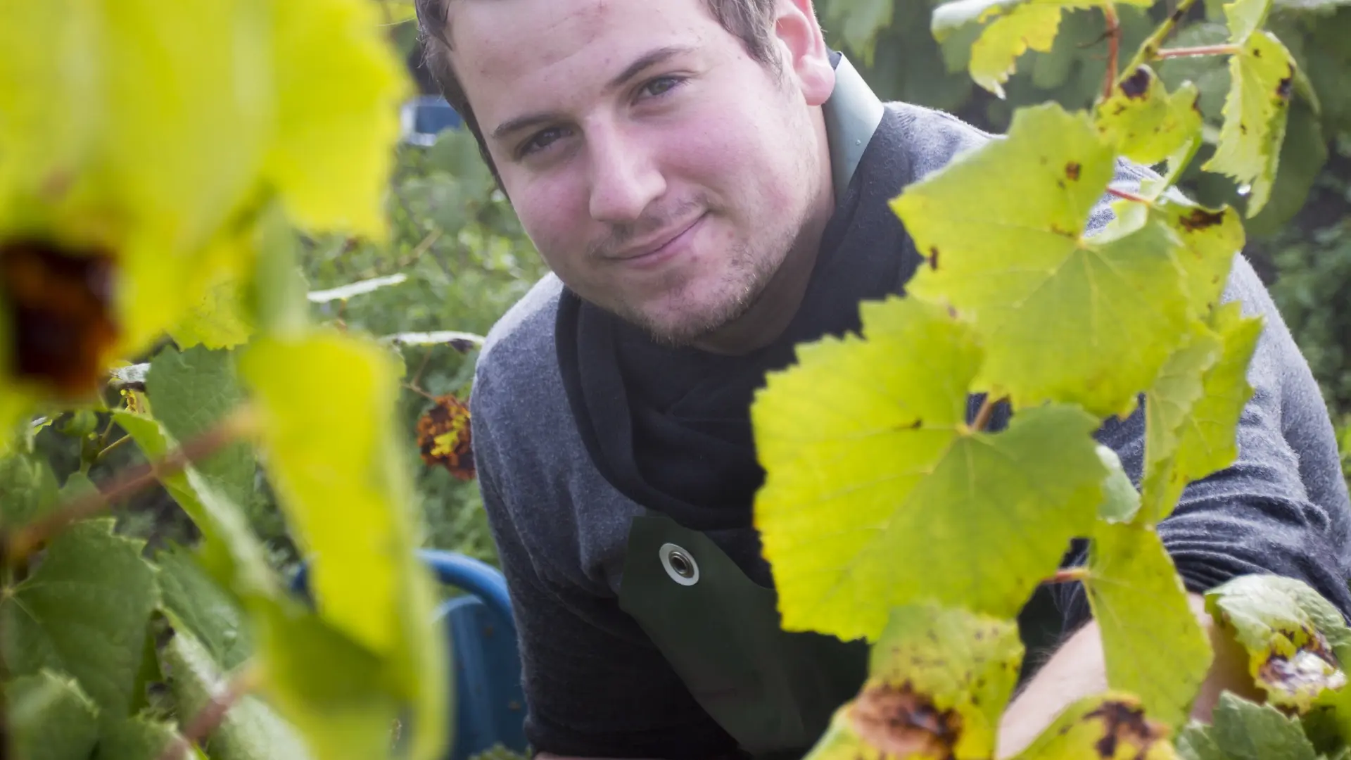 domaine-bregeon-4-gorges-44