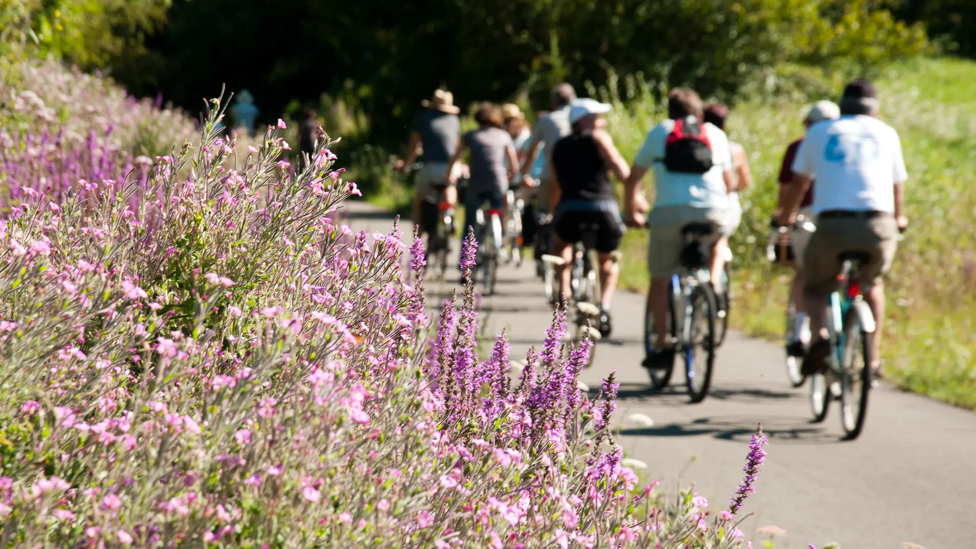 Vallée du Loir à vélo