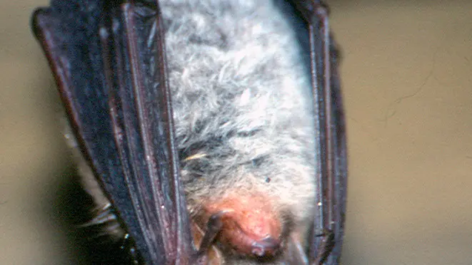 Randonnée pédestre. Saint Germain du Val