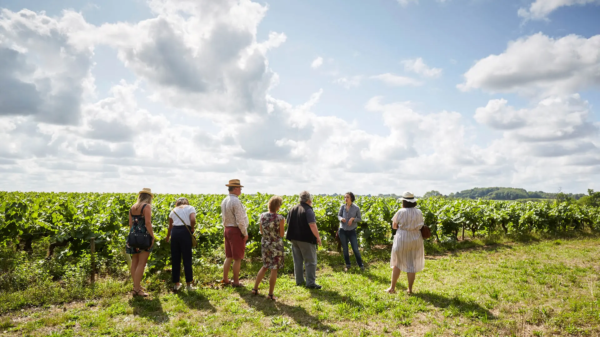 Balade dans les vignes