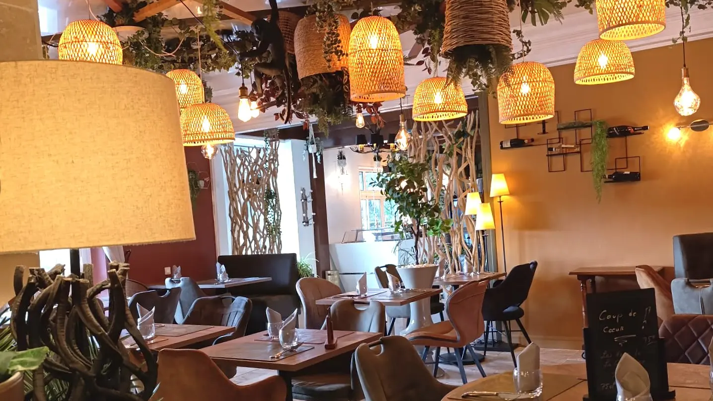 WhatsApp Image 2026-01-30 at 11.19.27 (2)v2