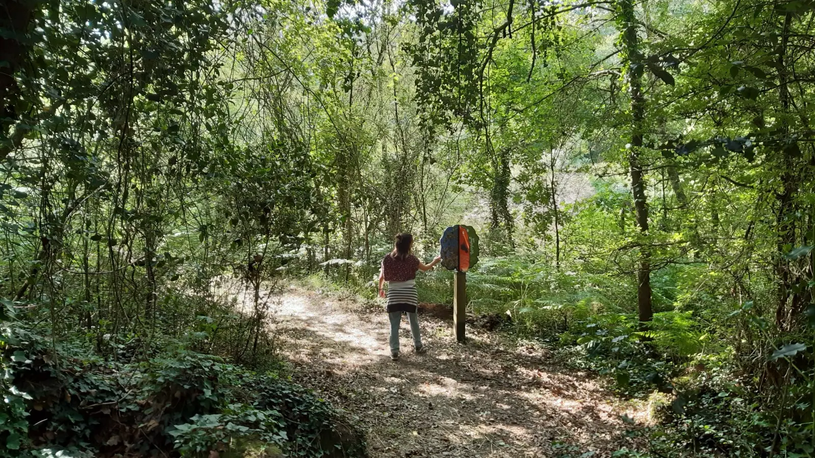 Grp de sevre et maine boucle du vignoble