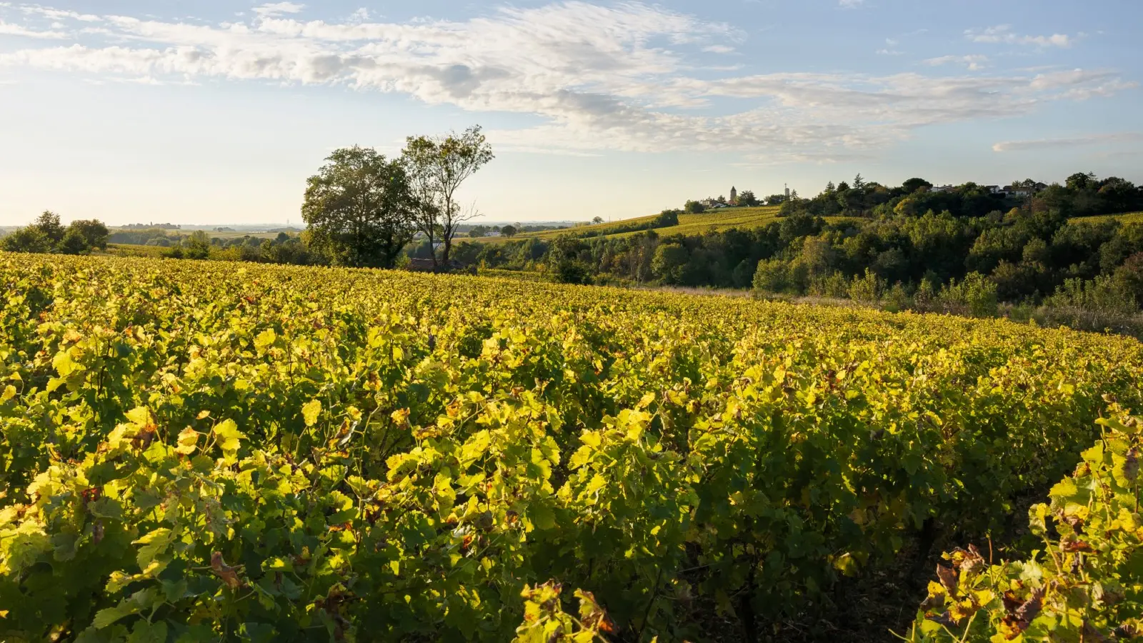 Circuit les moulins et l'ouen autour du moulin du Pé
