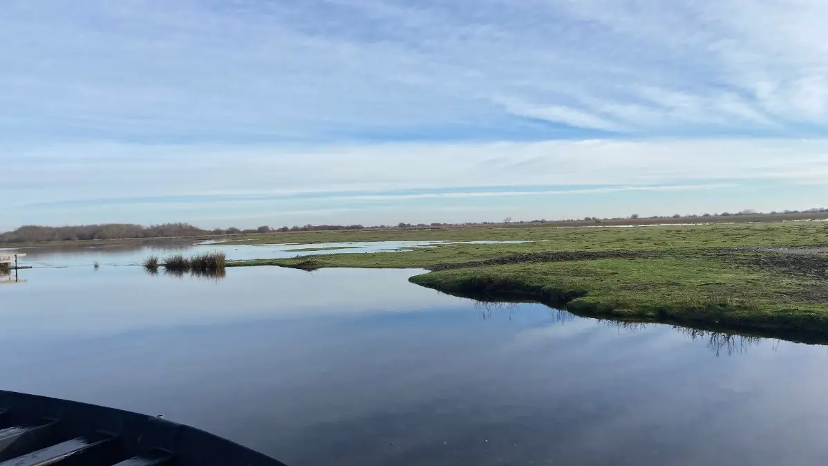 81841 - Le marais de Brière