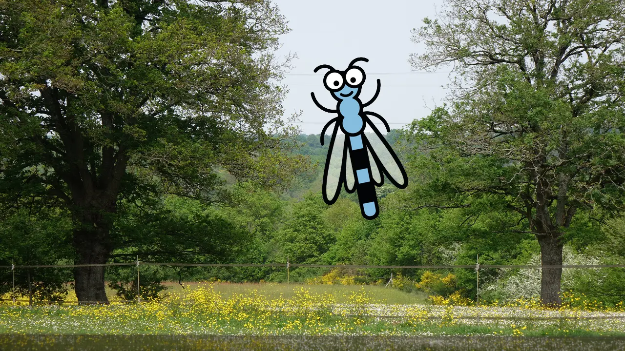 Parcours baludik divatte sur loire