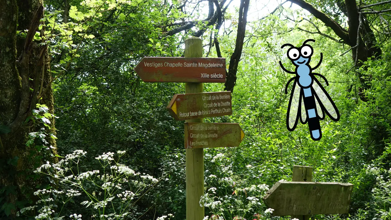 Parcours baludik divatte sur loire