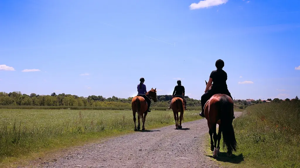 vignes-en-selle-cheval-saint-crespin-sur-moine-angers-nantes-anjou-osezmauges