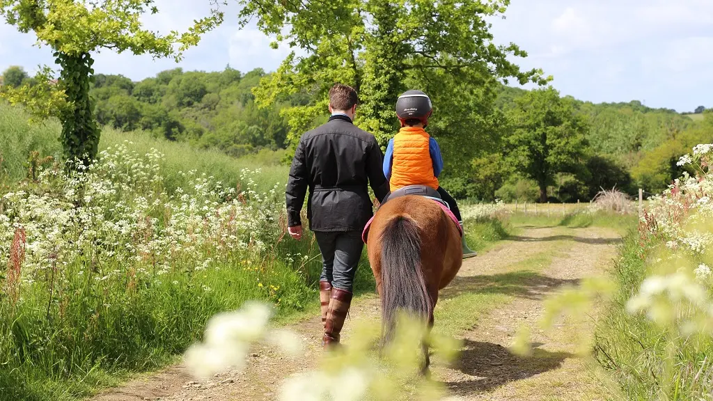 poney-vignes-en-selle-st-crespin-sur-moine-sevremoine-nantes-cholet-clisson