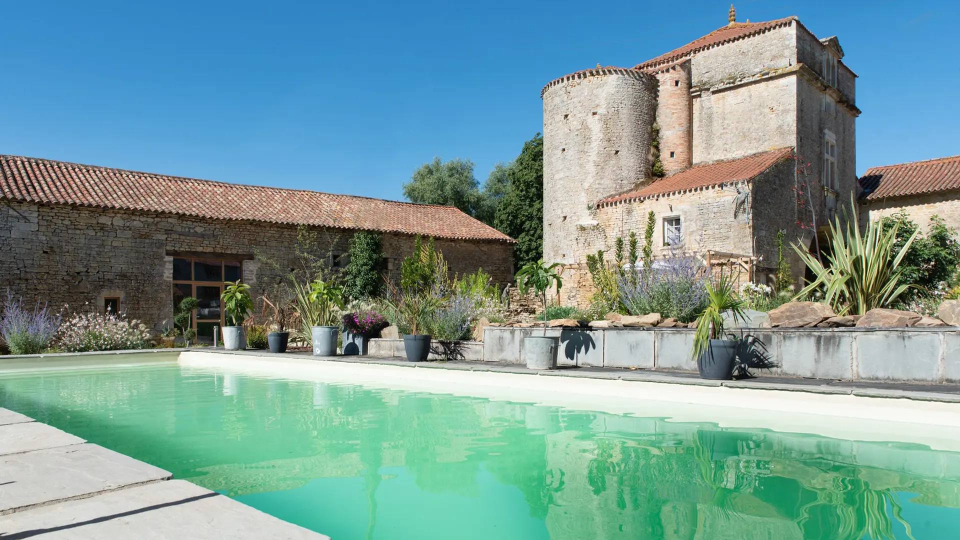 piscine - château de la Cressonnière - Cezais