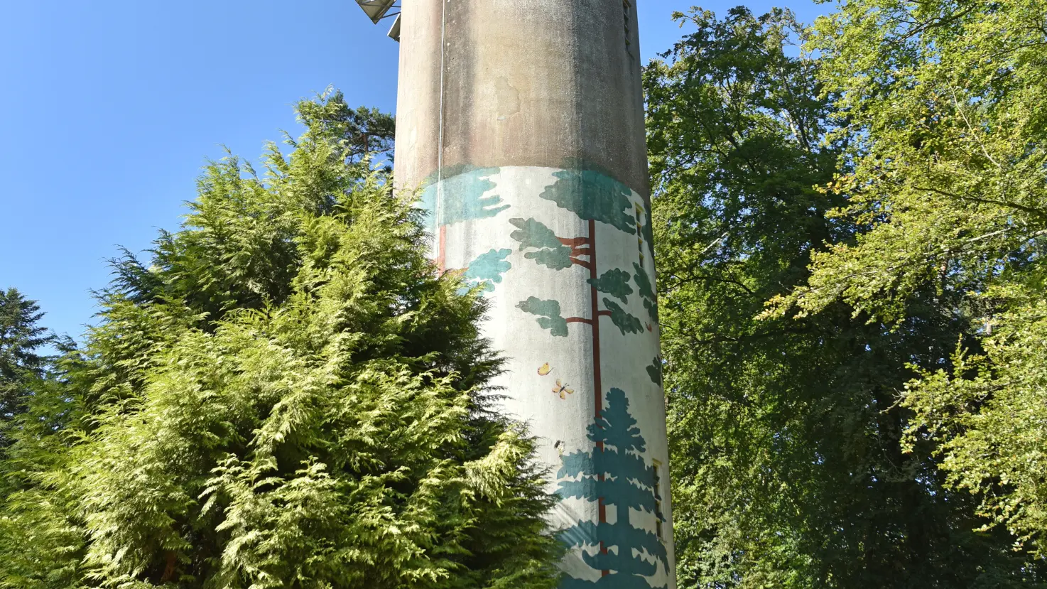 belvedere_perseigne©joel-damase