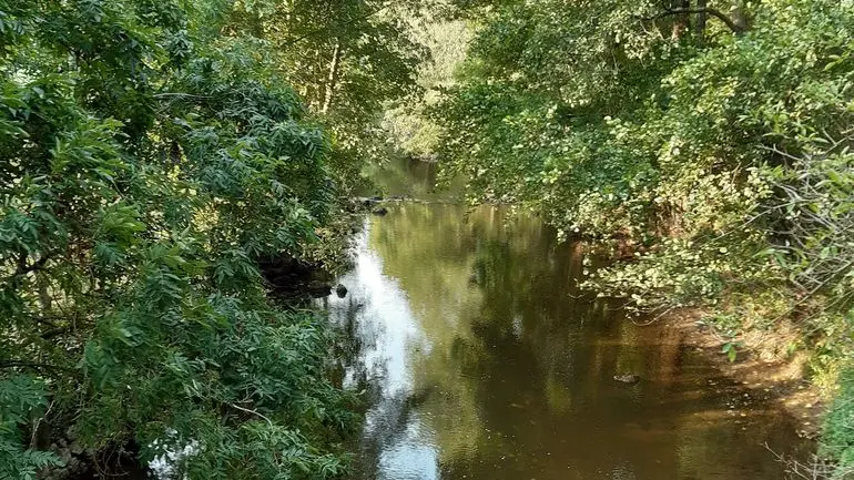 boucle de la sevre a la moine clisson (5)