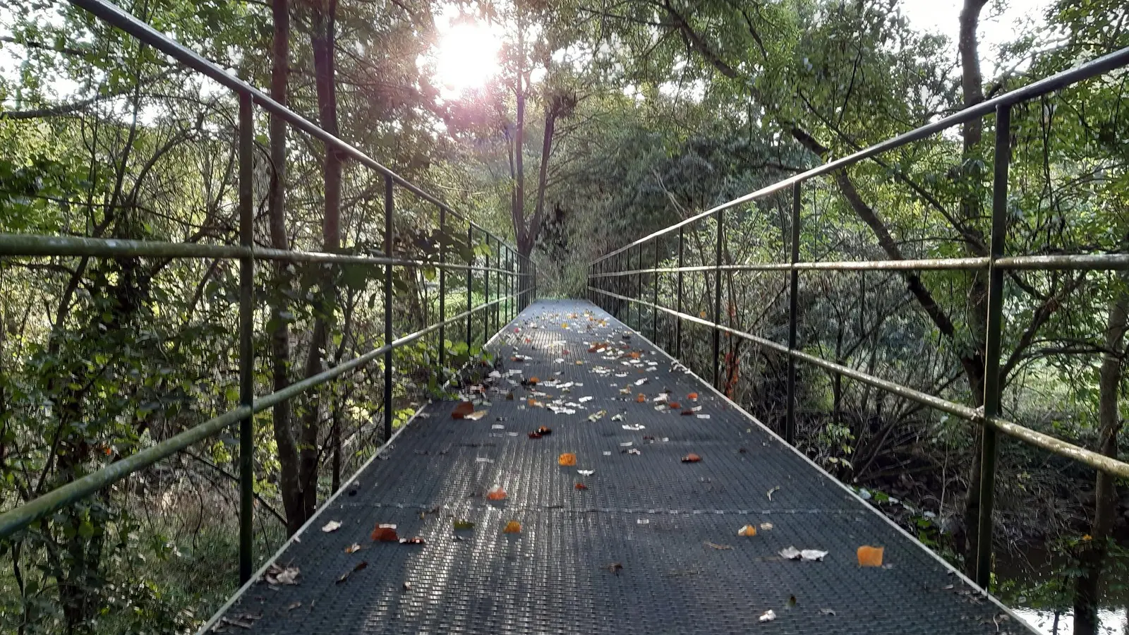 boucle de la sevre a la moine clisson (6)